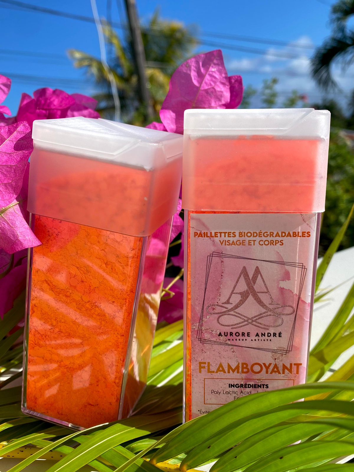 Paillettes biodégradables Oranges